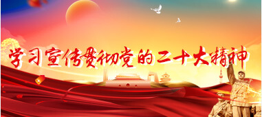 學(xué)習(xí)宣傳貫徹黨的二十大精神